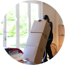 removals brentwood